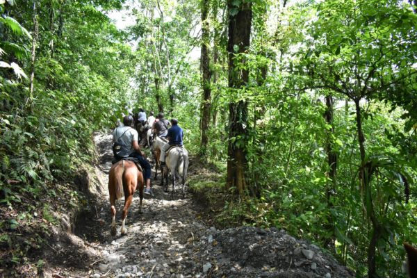Discover Costa Ricas Bio-Diversity on Horseback