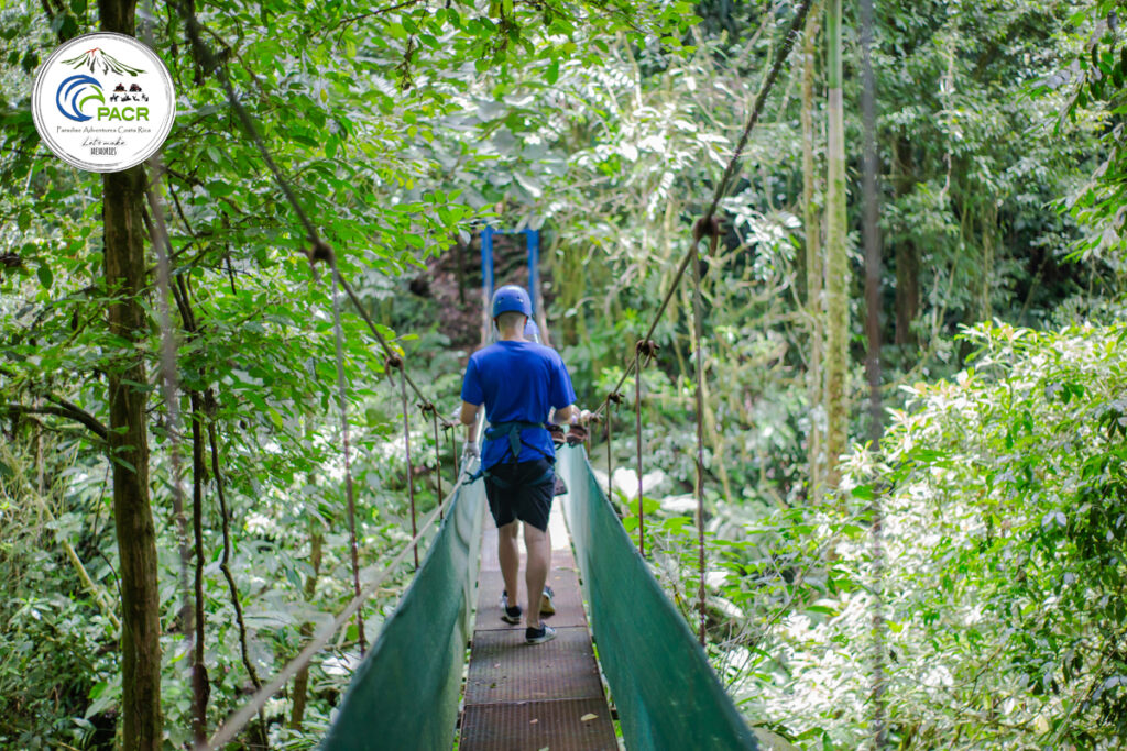 Suspension bridge leading to zipline