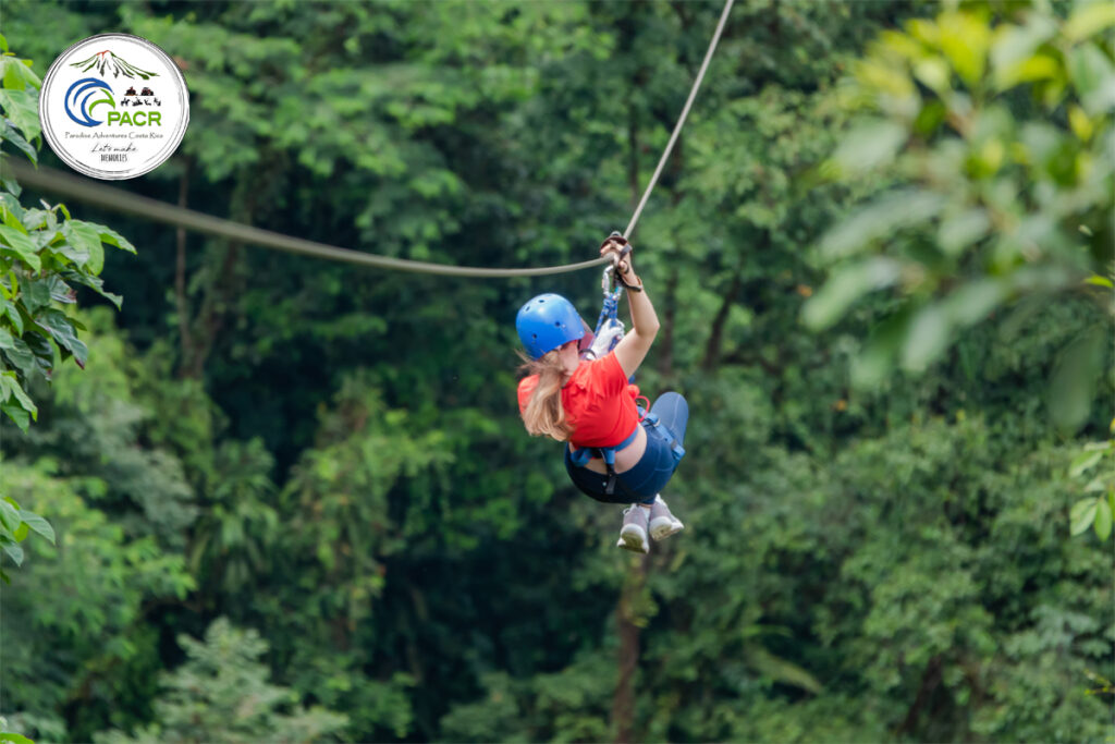 Zipline through the tropical canopy